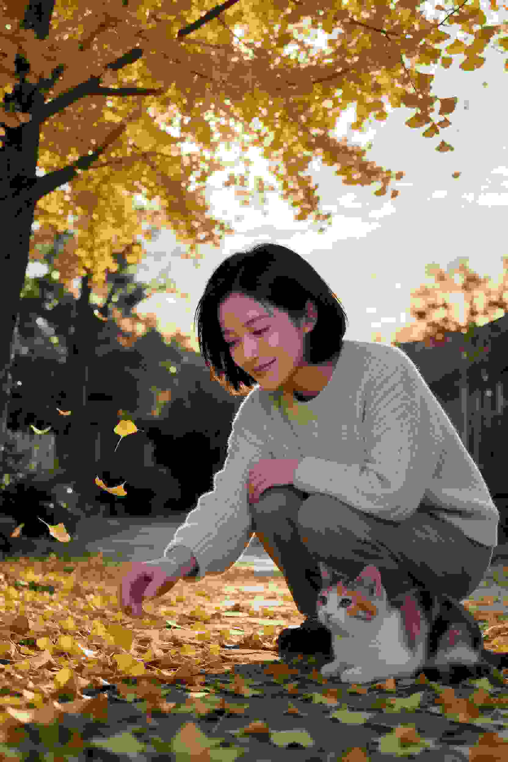 月色真美